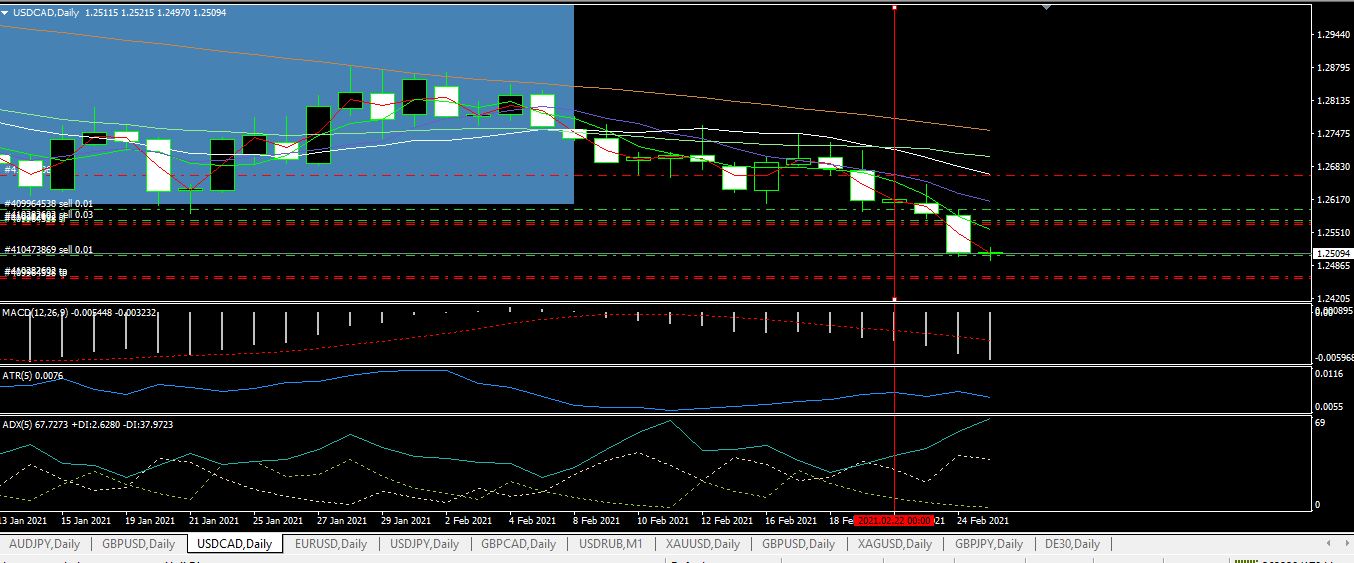 usdcadgwiazda.JPG